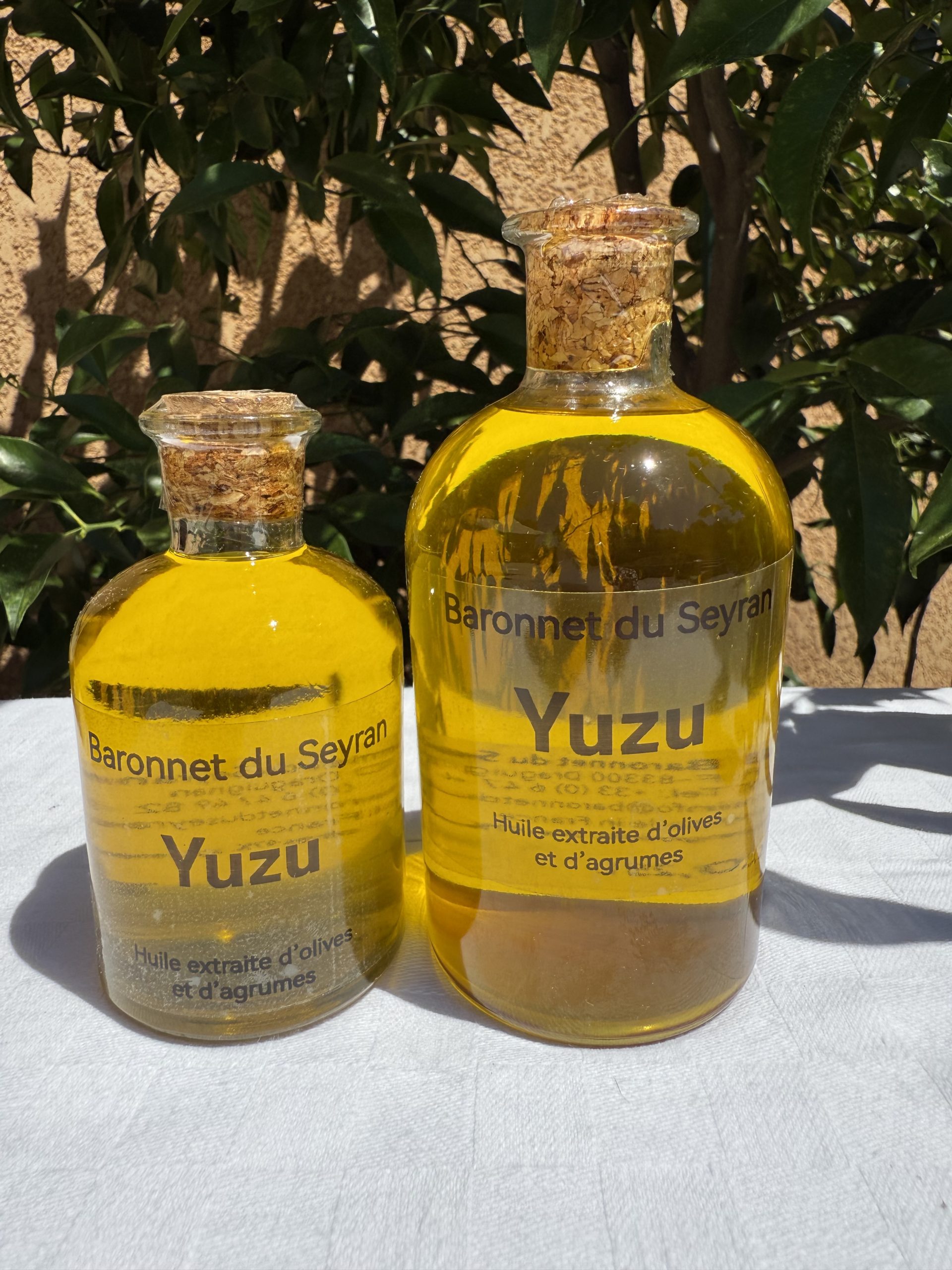 Yuzu